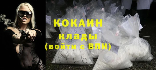 стаф Арсеньев