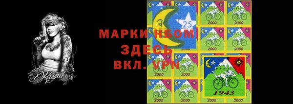 стаф Арсеньев