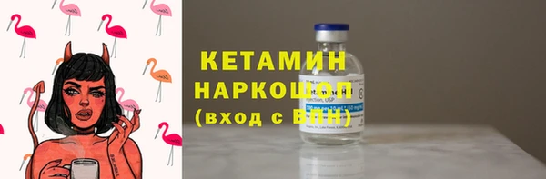 стаф Арсеньев