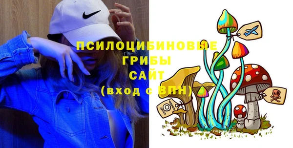 стаф Арсеньев